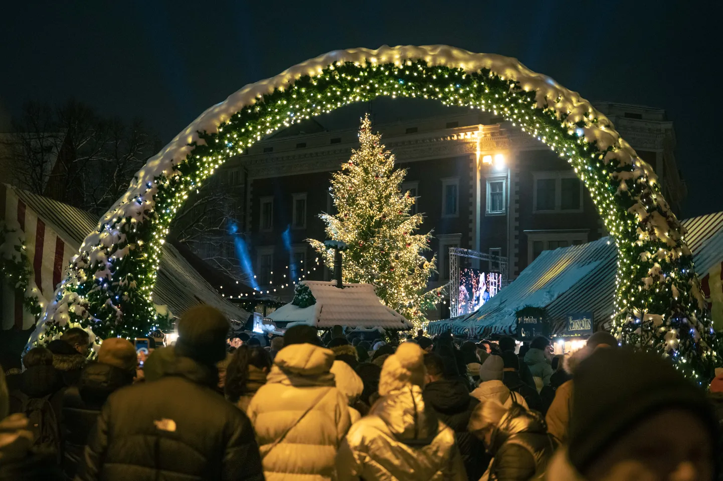Rīgas Ziemassvētku egle Doma laukumā.