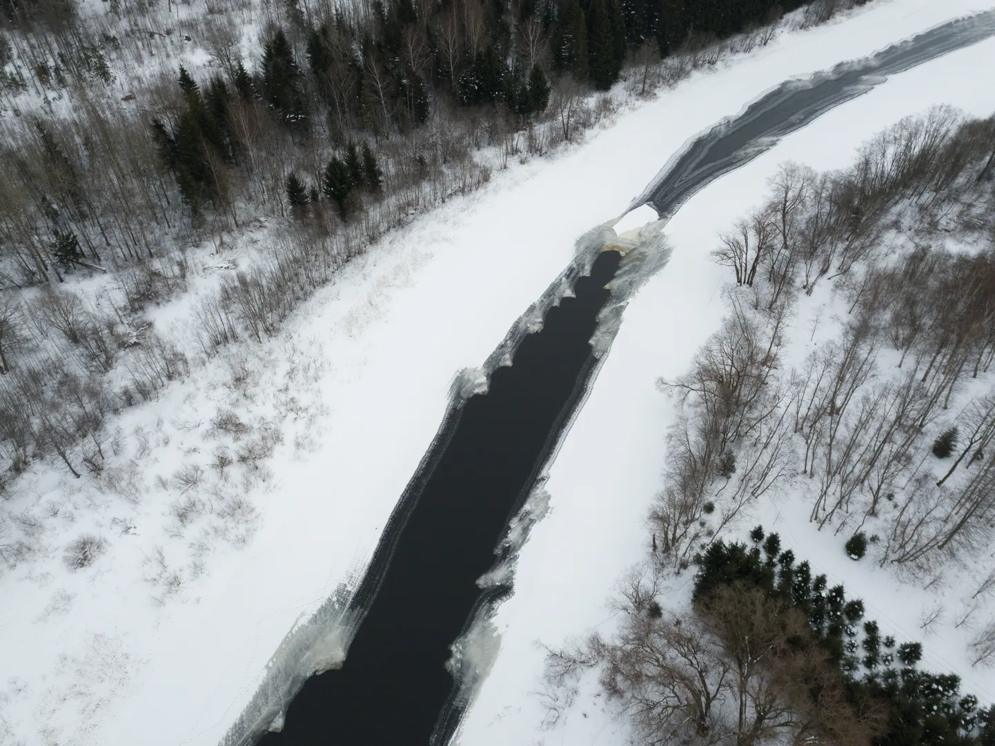 Väidetavalt nähakse hiigeltehase asukohana Vorbuse kanti.