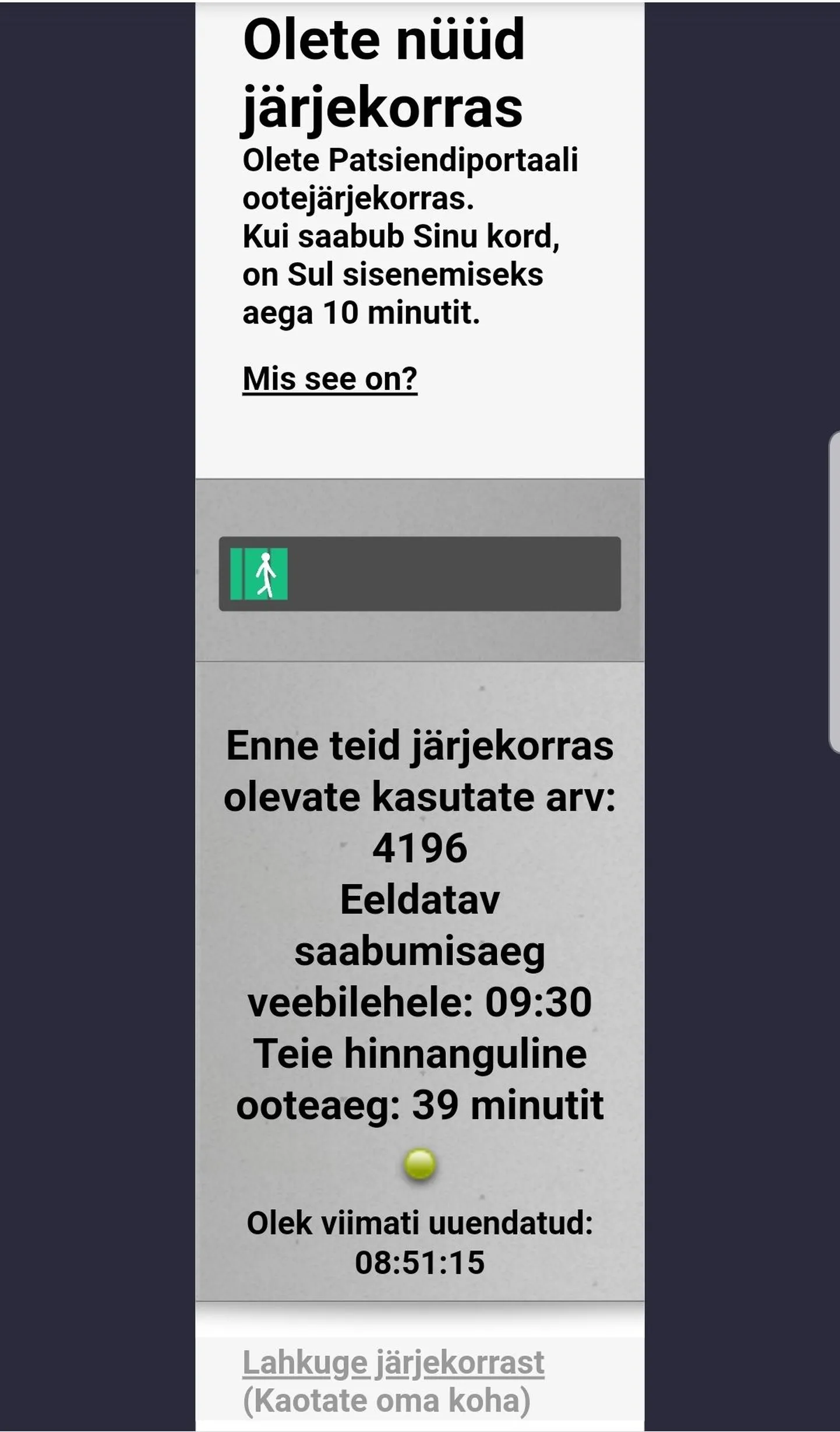 Очередь в Digilugu
