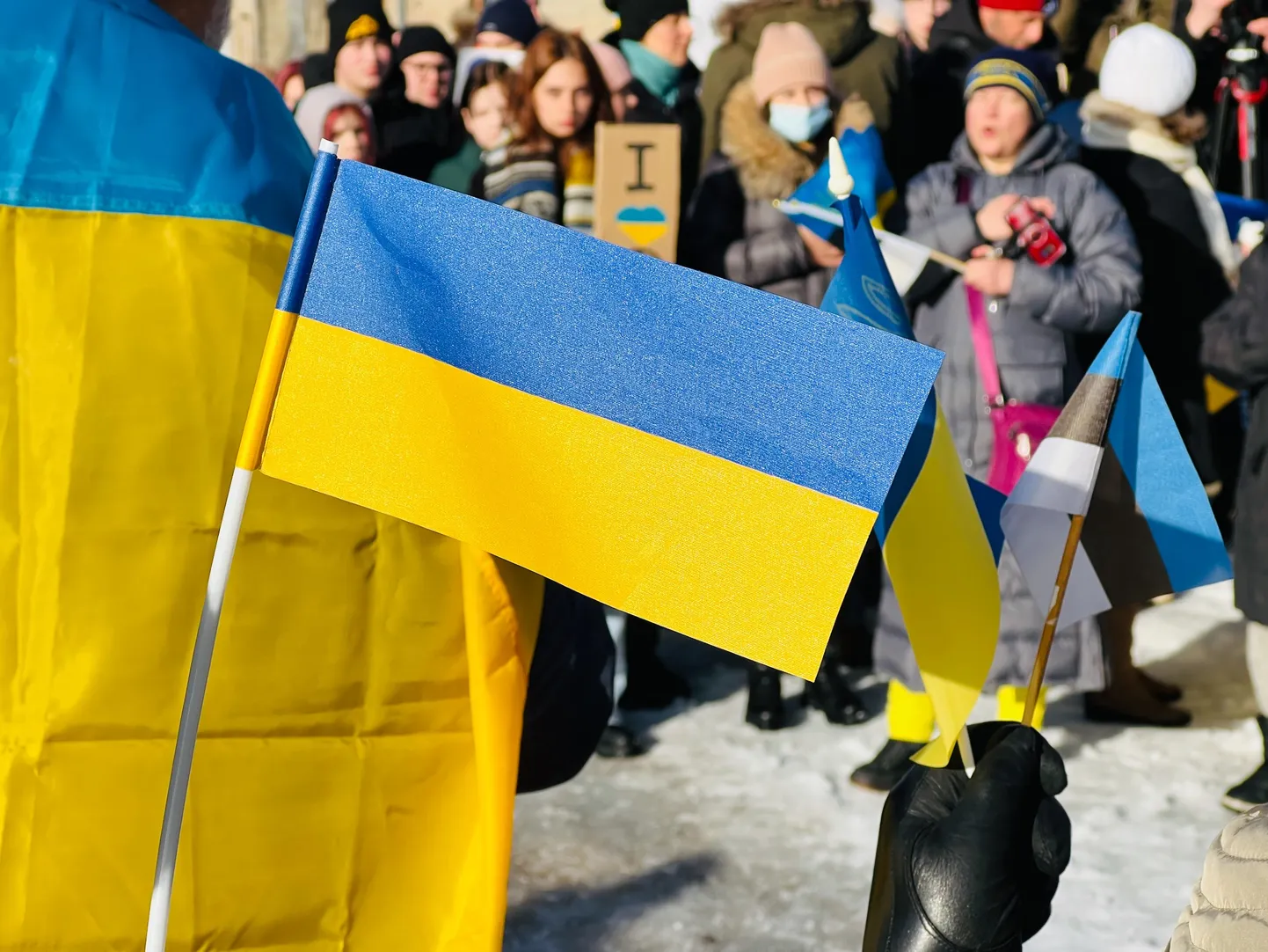 Украинский и эстонский флаги.