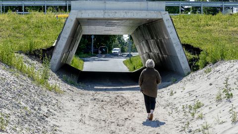 PILDID ⟩ 100ks aastaks ehitatud tunneli ümber variseb pinnas