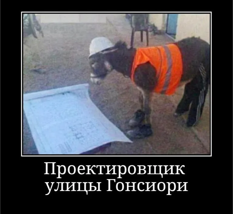 Фото статьи