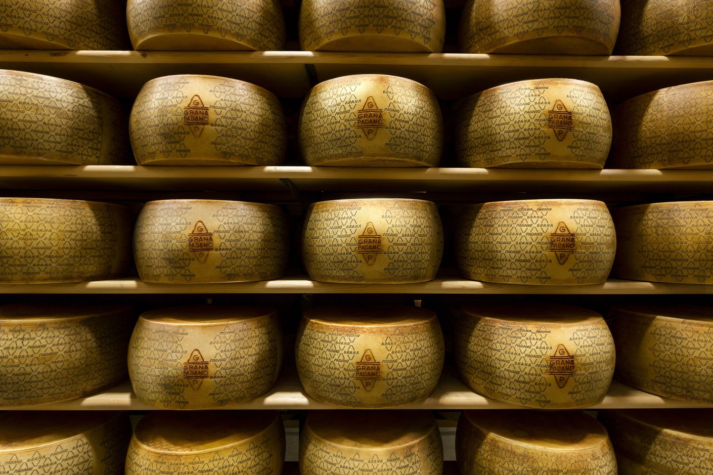 Grana Padano juustukerad riiulitel.