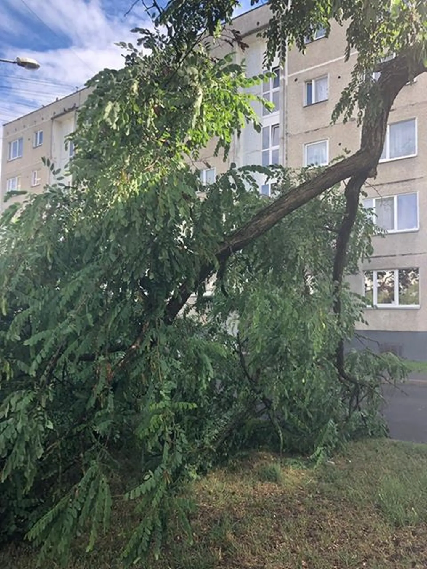 Фото статьи