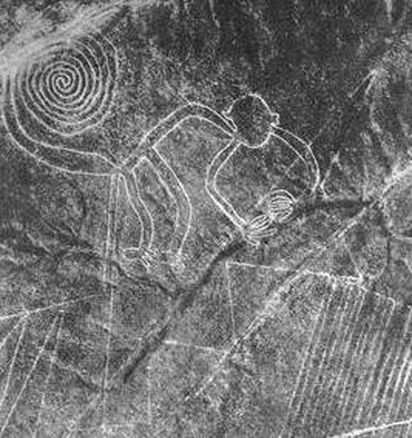 Nazca joonis, millel on kujutatud ahvi