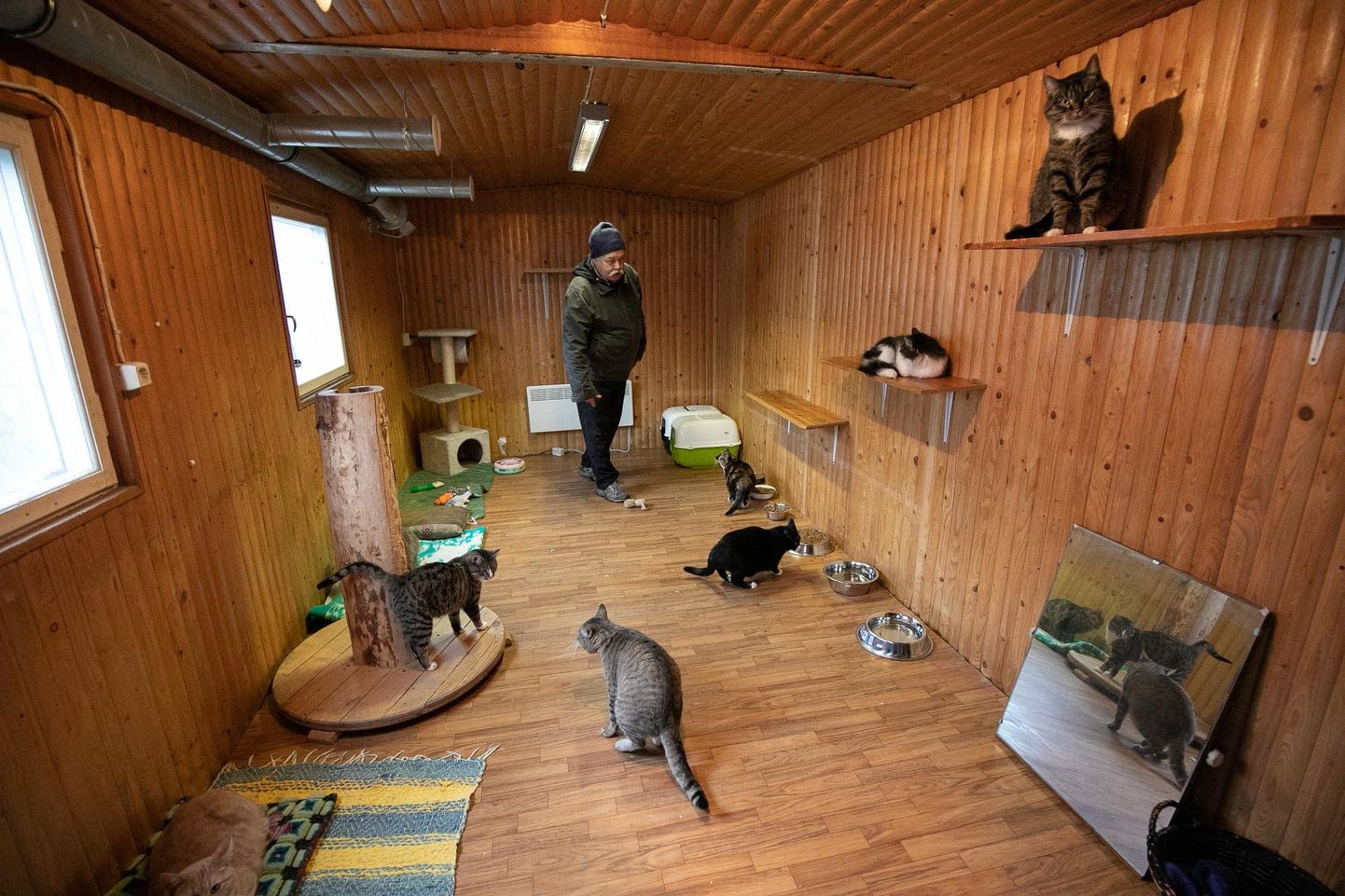 Rakvere kodutute loomade varjupaiga elanikud võivad õige pea kohtuda Haapsalu kasside-koertega. Fotol ka Hannes Veeru.