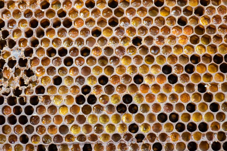 Mesilased annavad ka loomeinimestele palju inspiratsiooni - mesilaskärje mustrit kasutatakse palju disainielemendina.