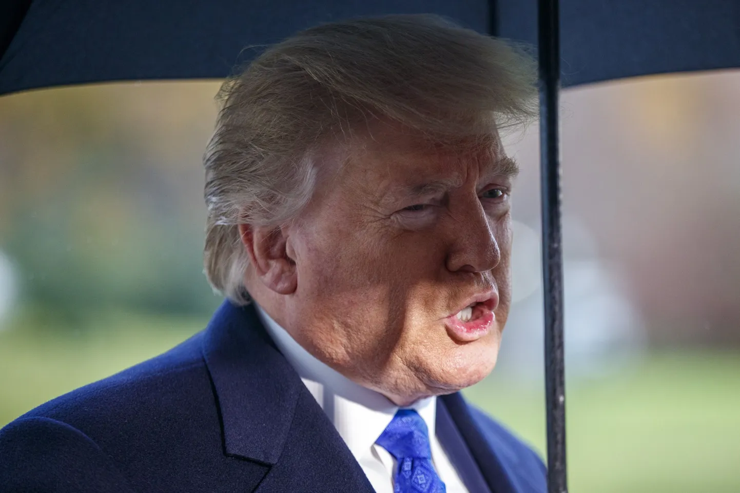 Дональд Трамп