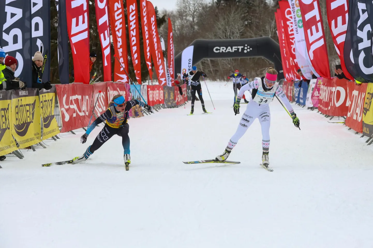 39. Viru maraton läheb lahti 18. jaanuaril.