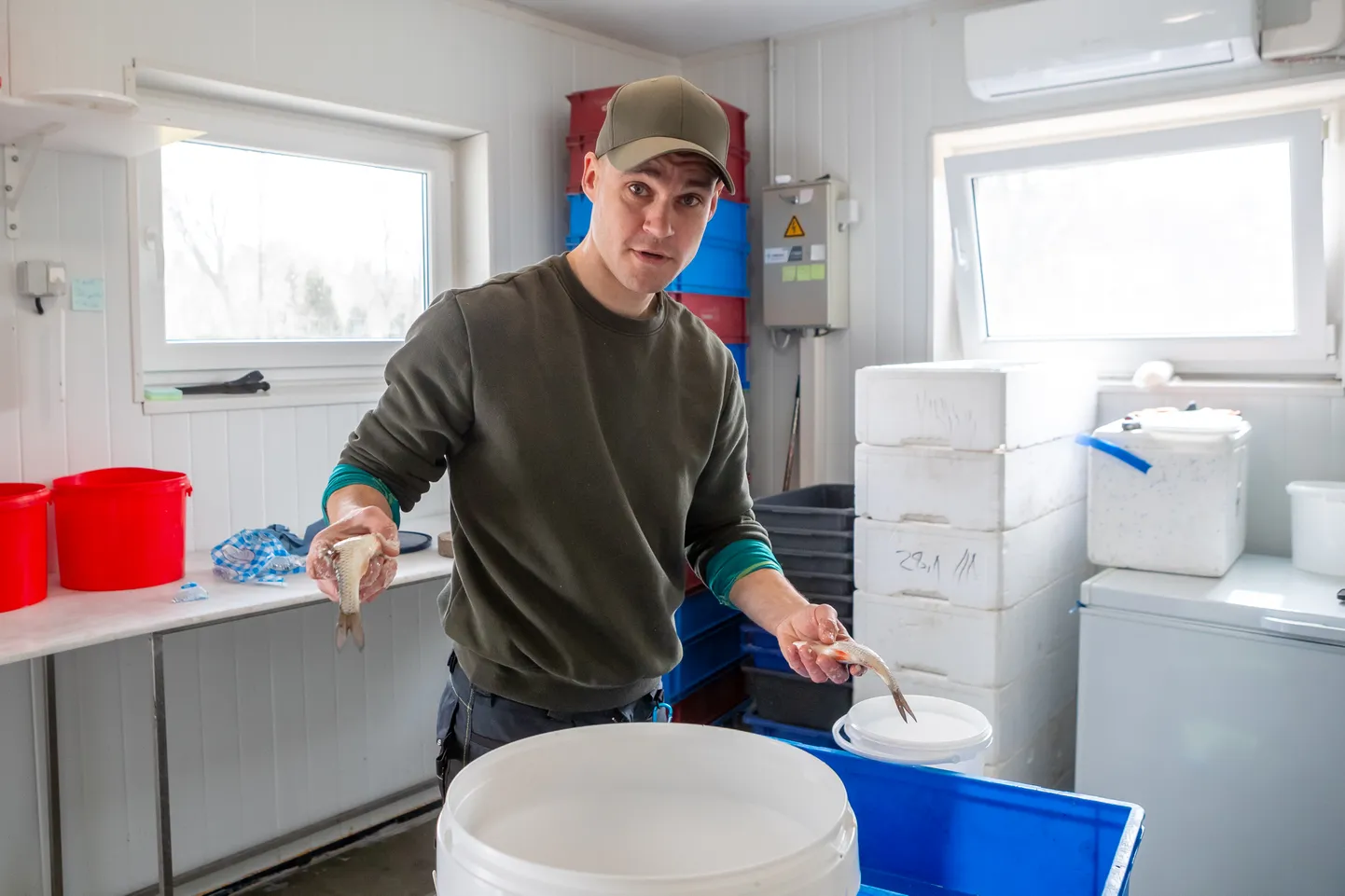 LAPI JA “KÜLVA”: Sander Laid paneb ämbrisse ikka kihi soola ja kihi kala.