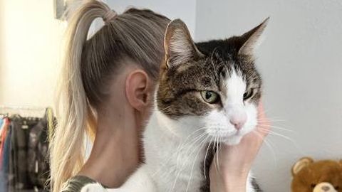 Uskumatu julmus: 15-aastane kass jäi täiesti jahmataval põhjusel perest ilma