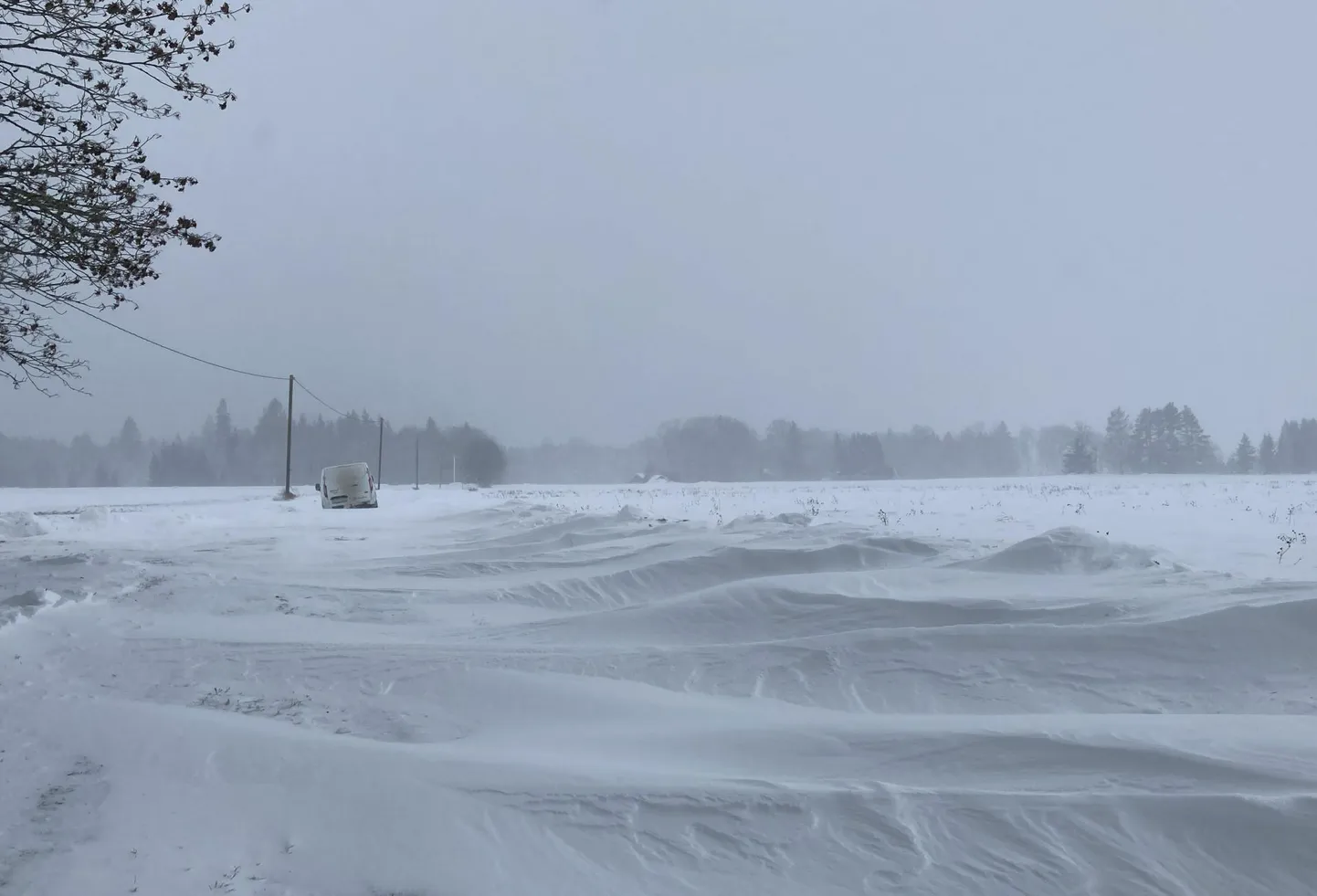 Järva Teataja lugeja saatis valiku piltidest, mis näitavad, milline olukord valitses maateedel tegelikult. Tuisuvaalude tõttu olid väiksemad teed täiesti läbimatud, autod kraavis või põhjani lumes kinni ning inimesed sumpasid üha kõrgemateks muutuvates hangedes.