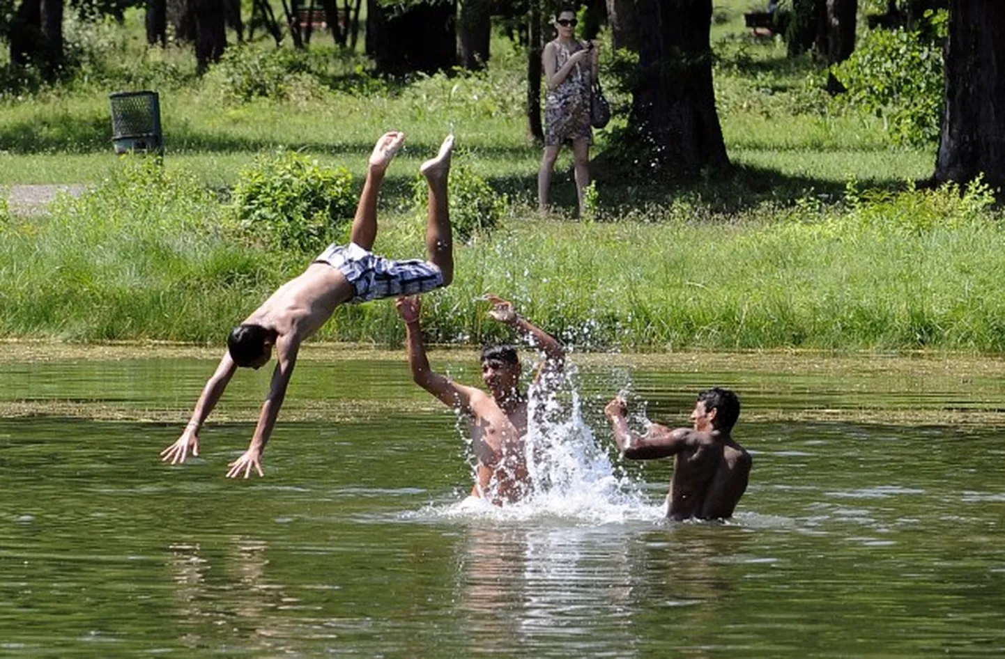 Raksta foto