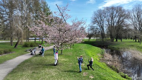 Nedēļas nogalē gaidāms saulains laiks, temperatūra pakāpeniski paaugstināsies