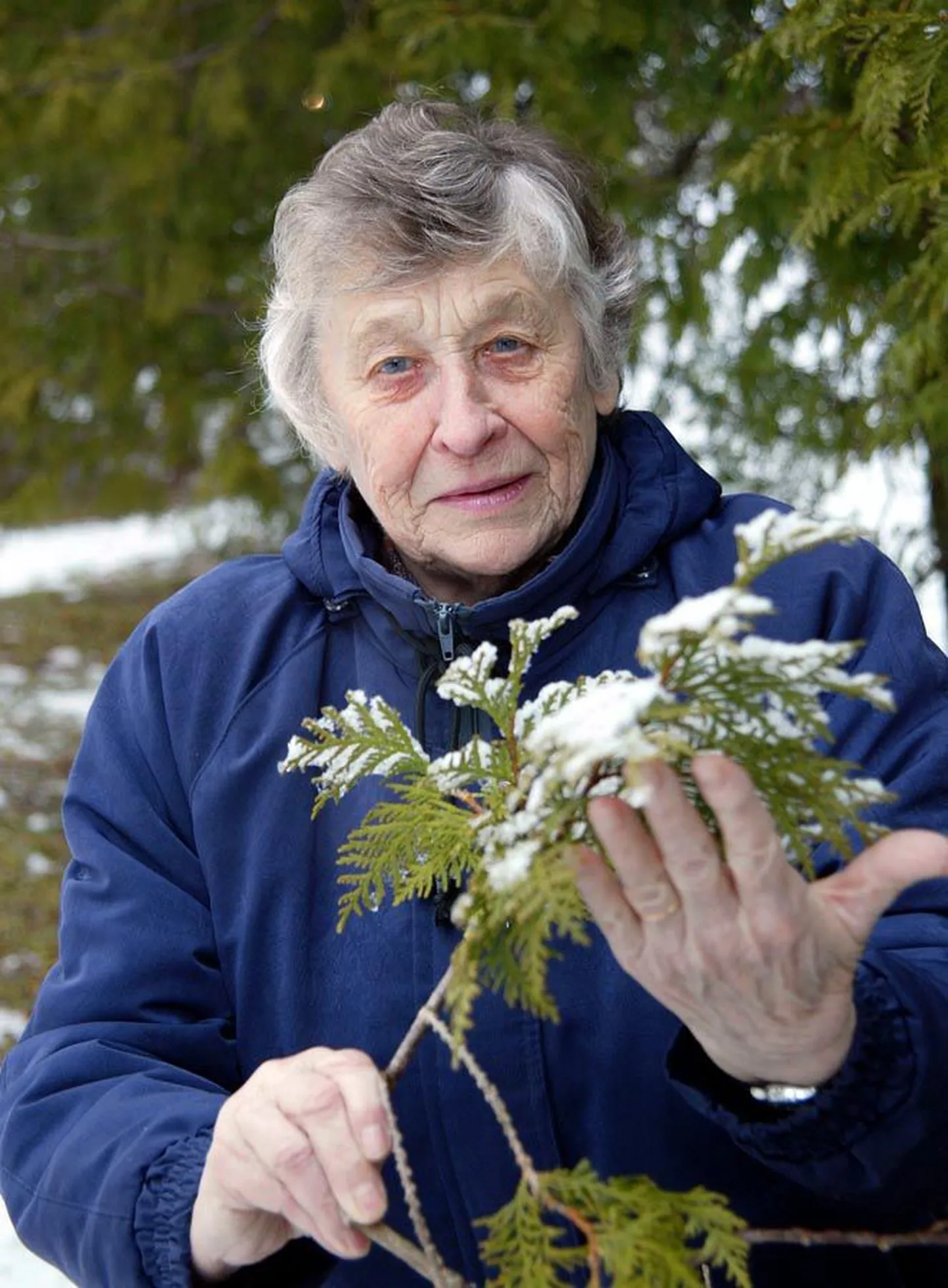 Spordiveteran Hilja Bakhoff pälvis Euroopa veteranide kergejõustiku sisemeistrivõistlustel kaks hõbemedalit ja ühe pronksmedali.