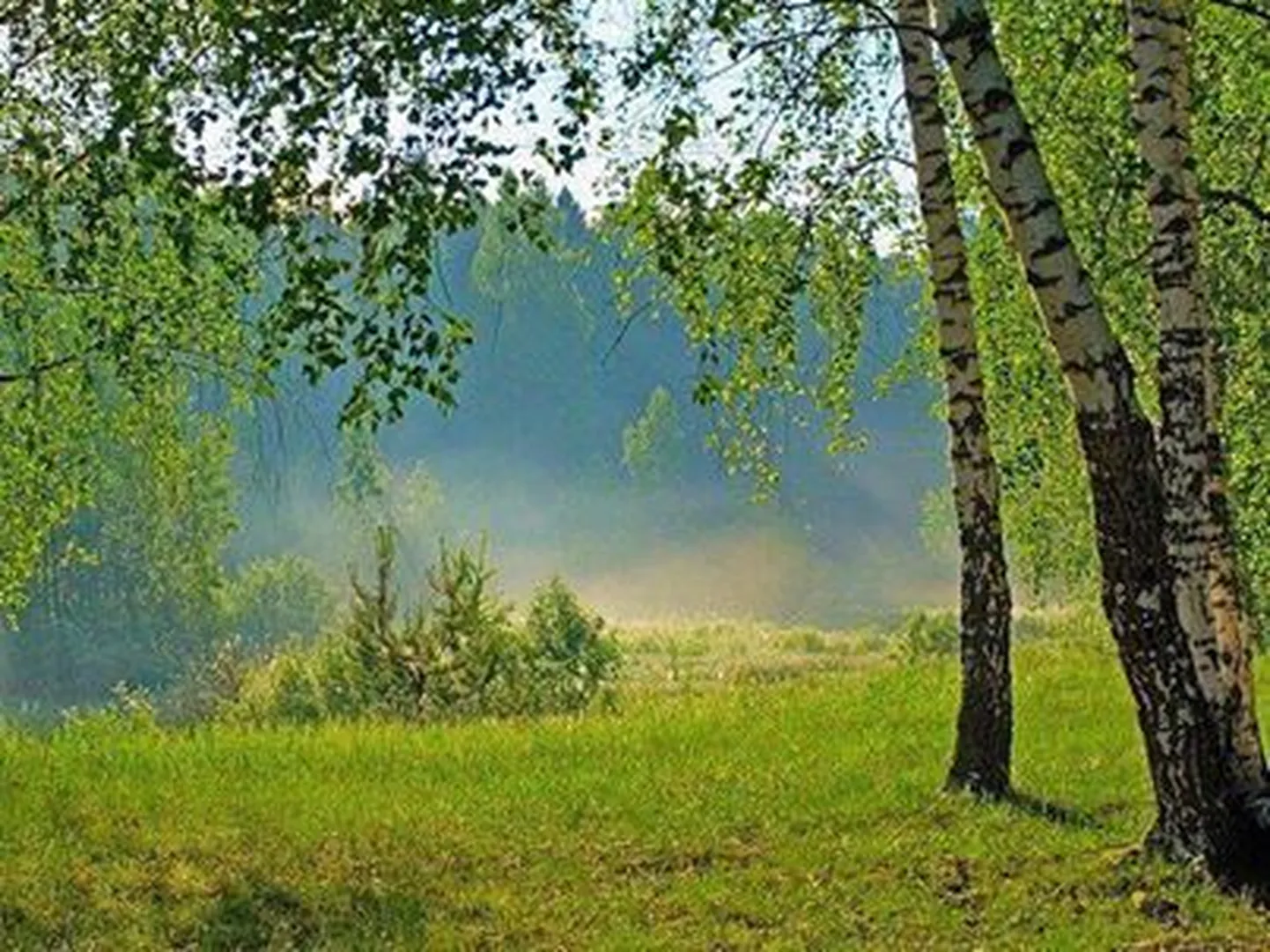 Фото статьи