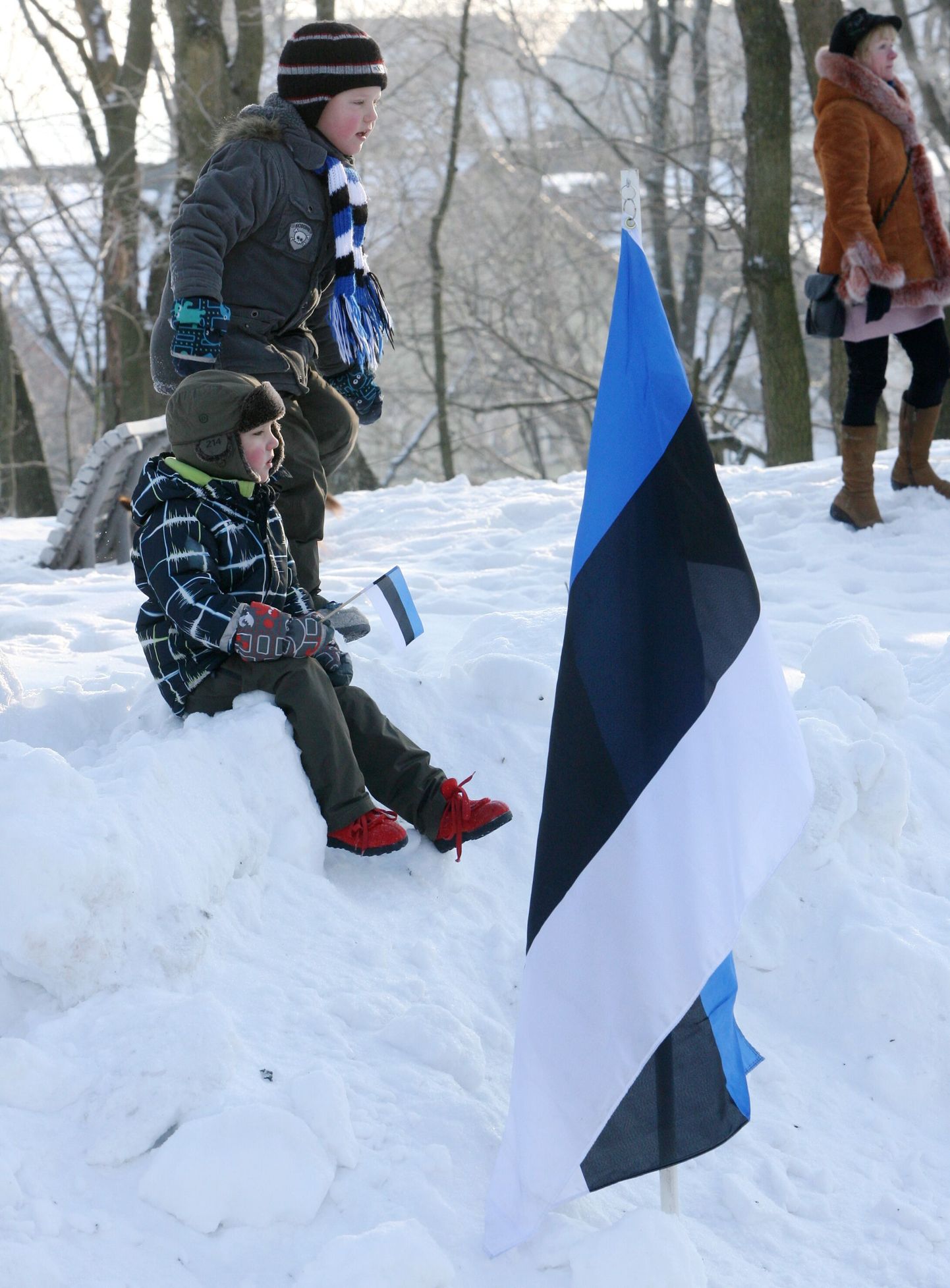 Eesti Vabariigi aastapäeva tähistamine Tartu Tähetorni juures.