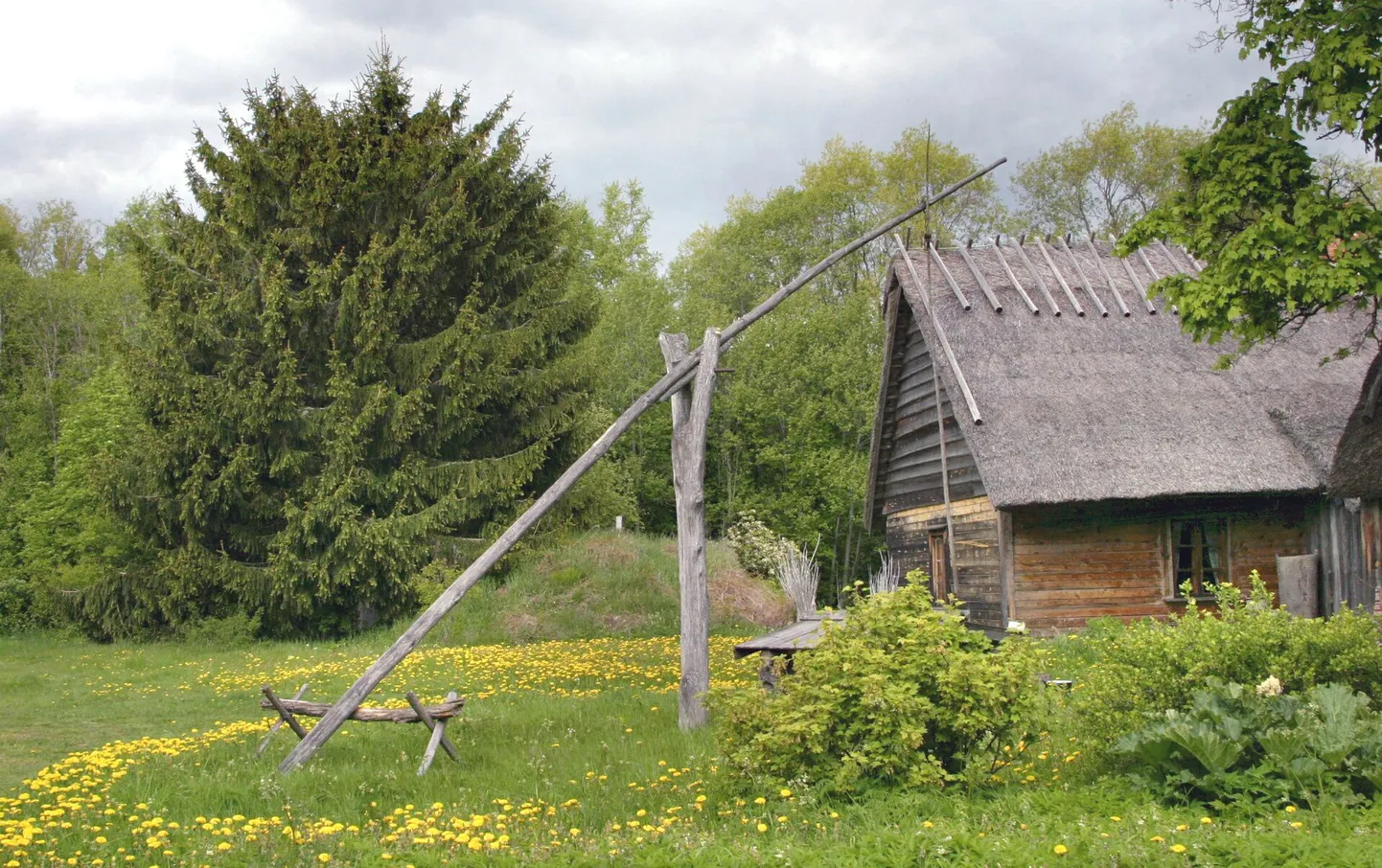 Maakodu.