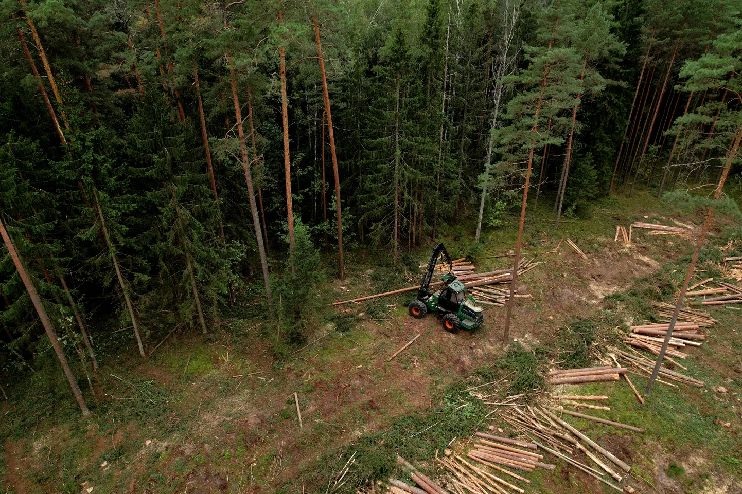 Raksta foto