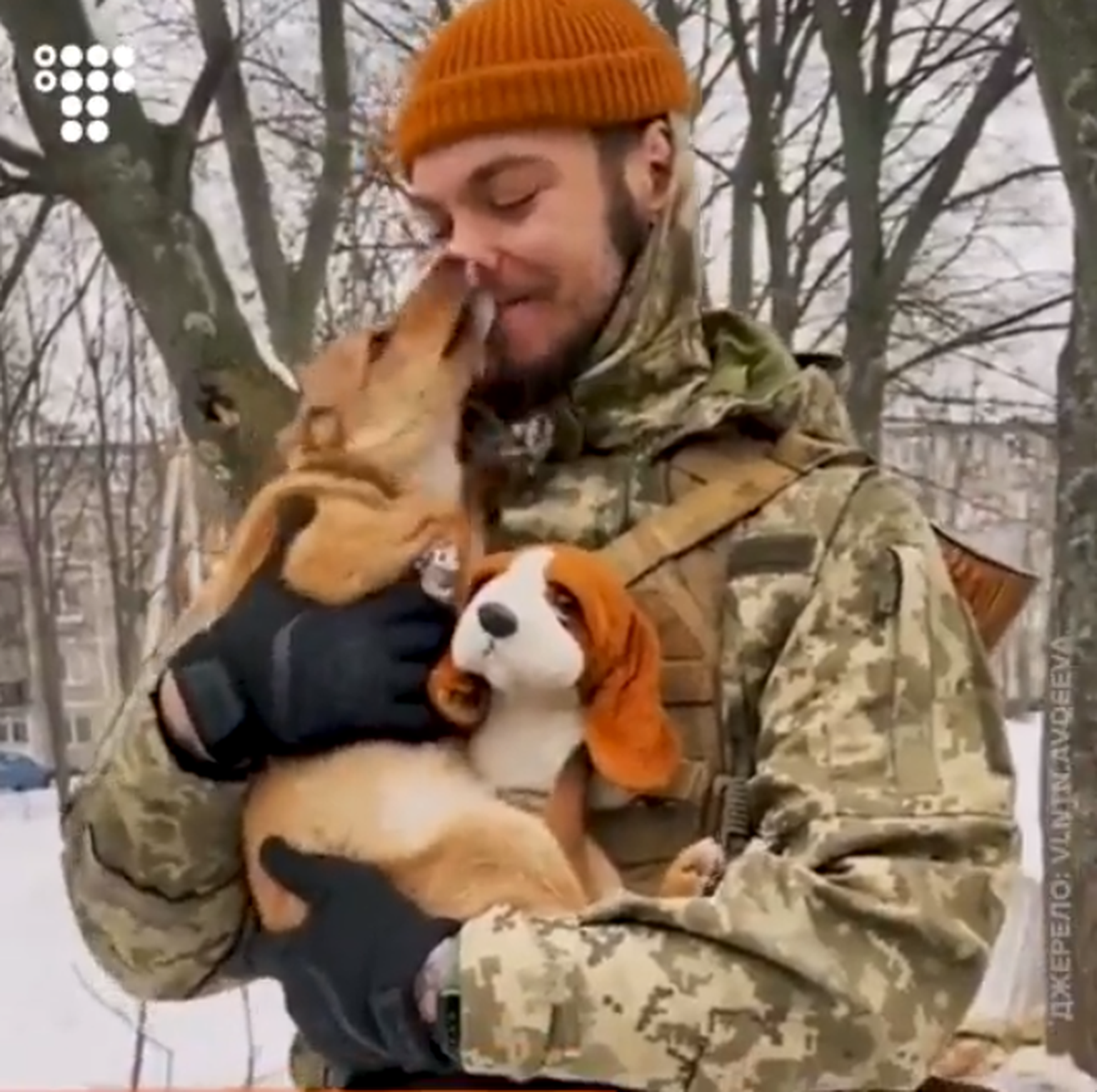 Ukraina sõdur koeraga.