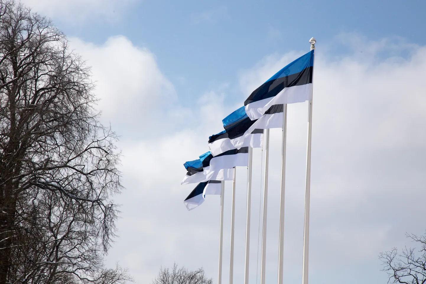 Eesti lipud.