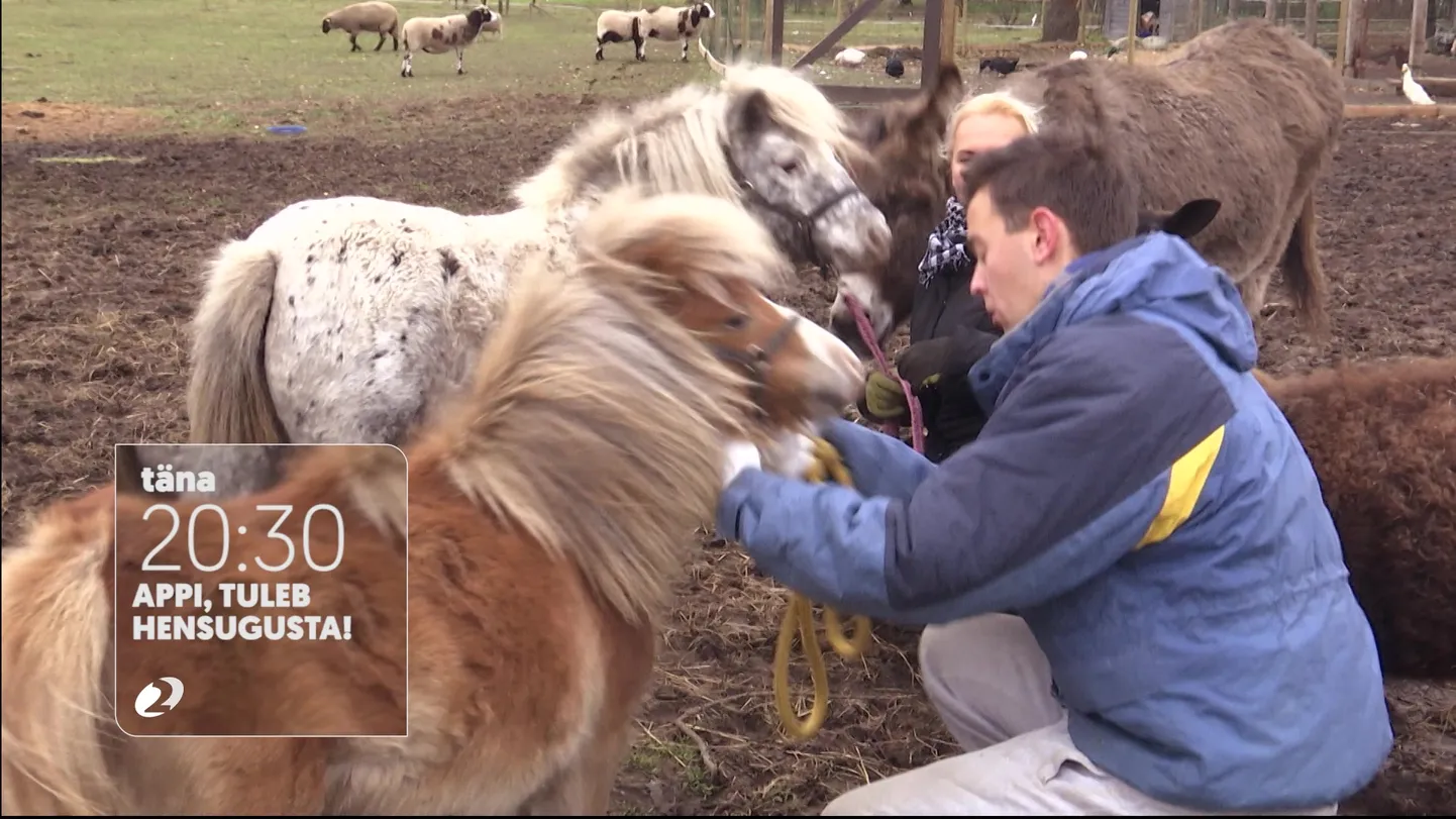Kanal 2 treiler: appi tuleb hensugusta tana.mpg