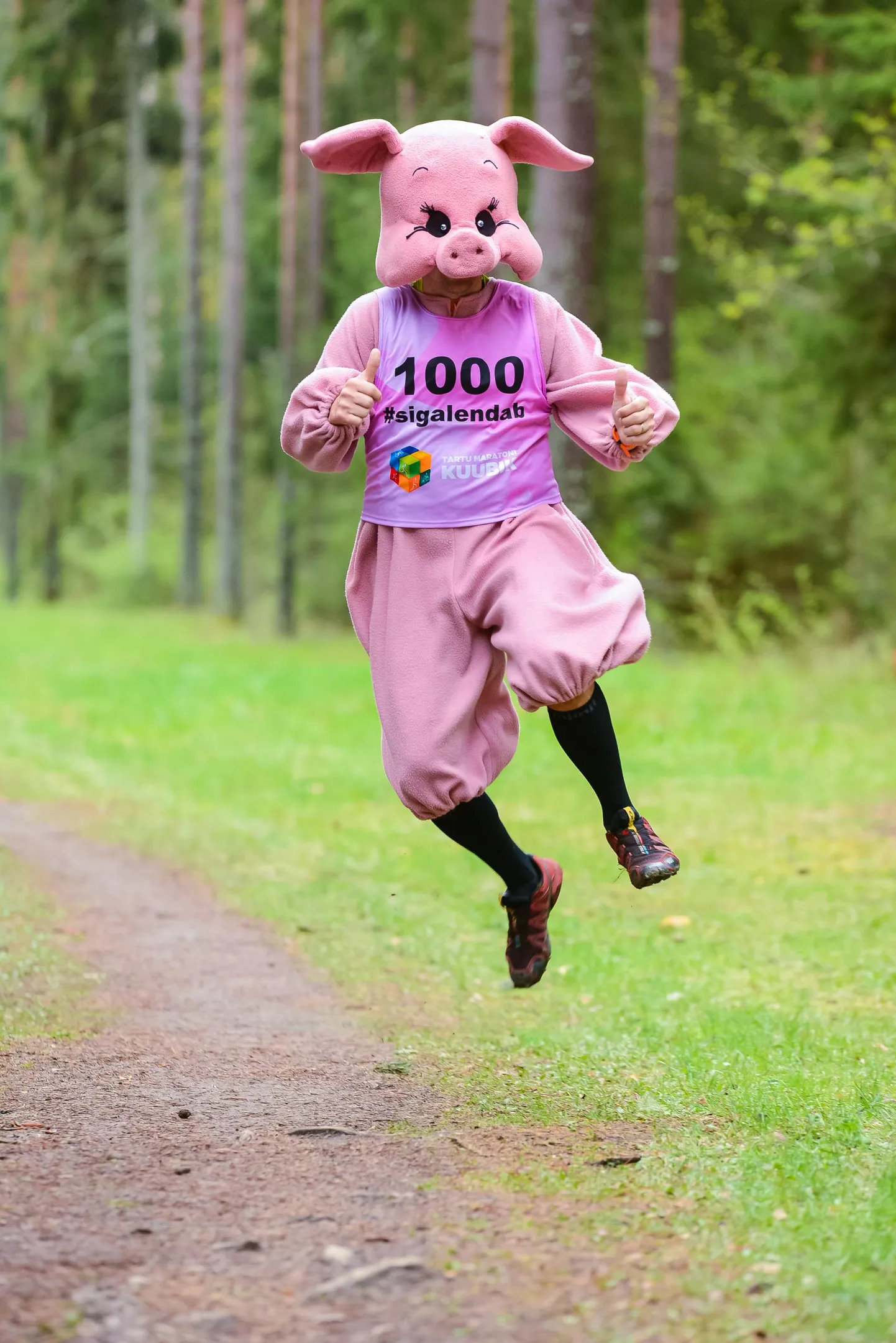 Sulev Kraam üle-eelmisel nädalavahetusel Tartu maastikumaratonil roosa põrsa kostüümis.