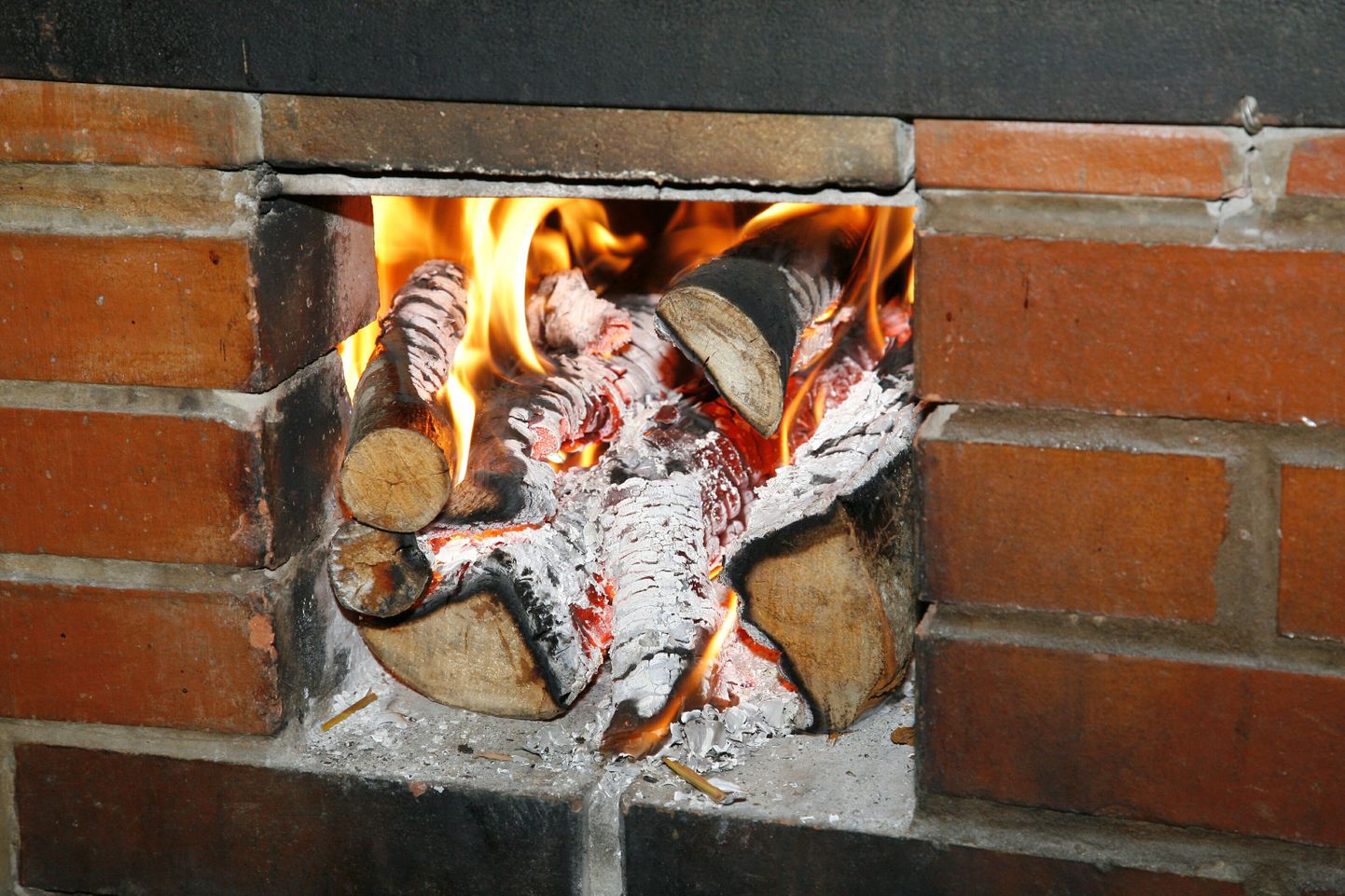 Halgude põletamiseks tuleb need pliidi alla või kaminasse panna. Küdevale pliidile tõstes võivad nad tulekahju põhjustada. Foto on illustreeriv.