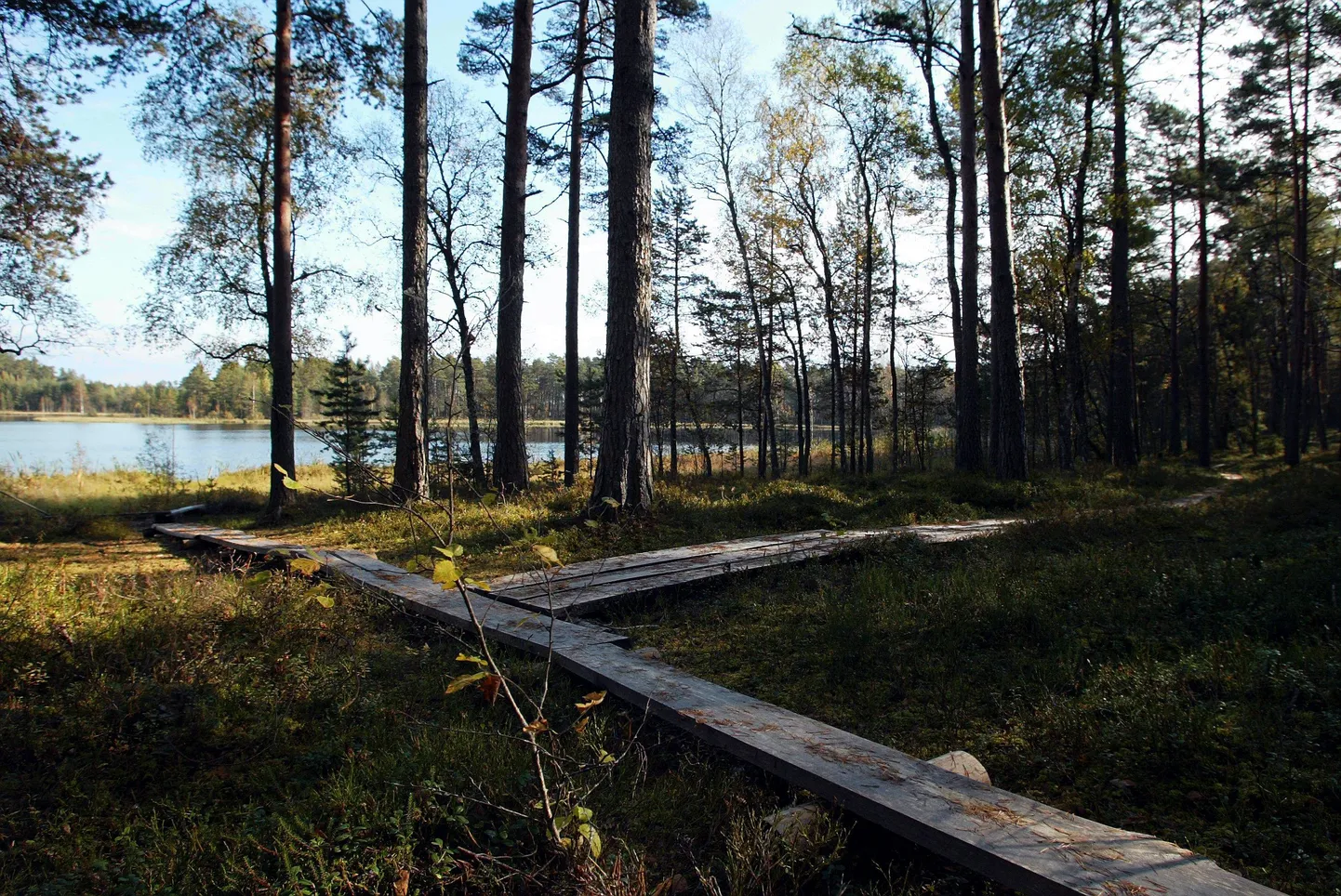 Parika Väikejärv.