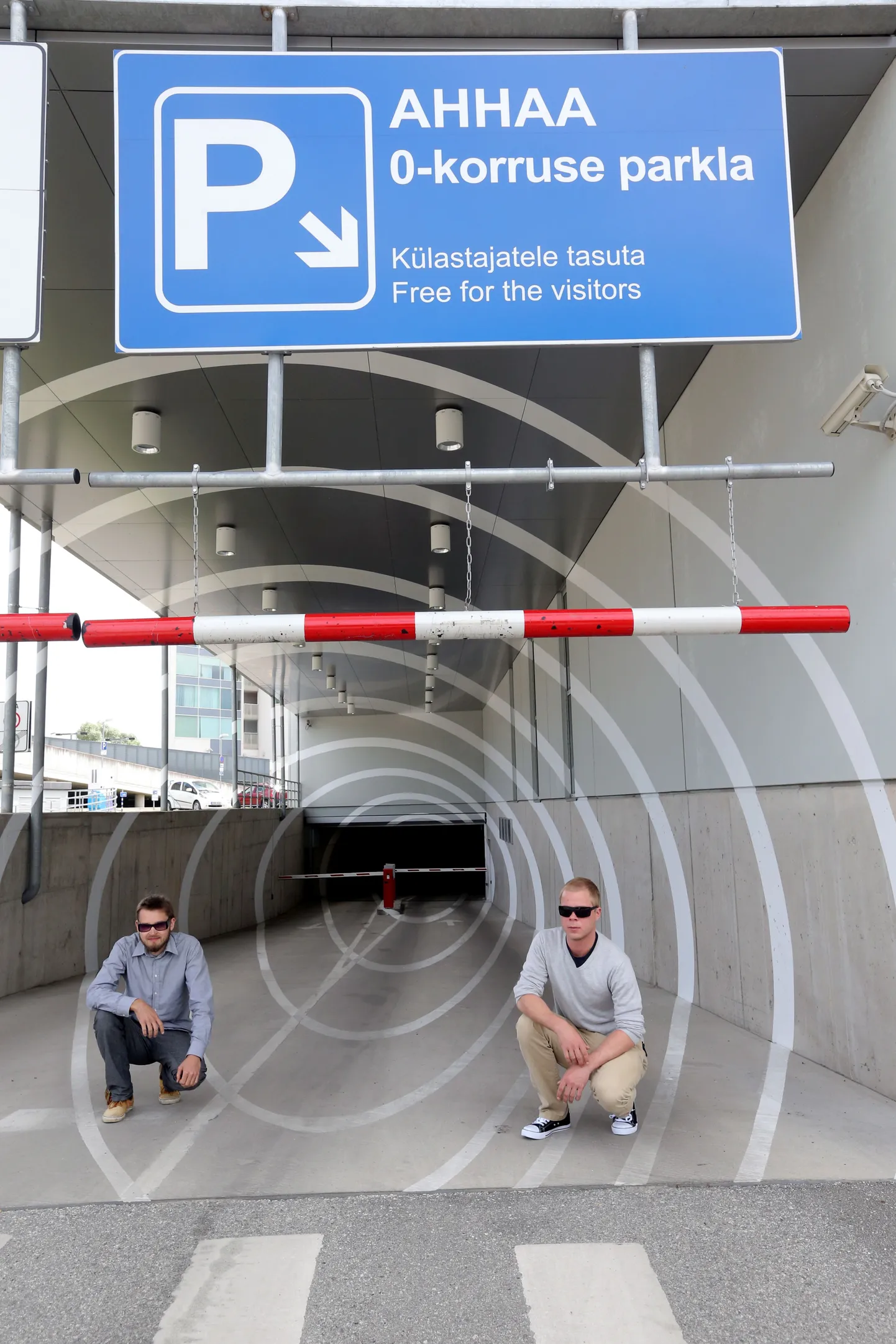 Optilise illusiooniga maalingu on loonud Edgar Tedresaar (vasakul) ja Paavo Kuldkepp.