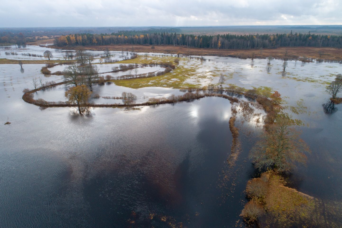 Sügisene üleujutus Soomaal Tõramaa puisniidul.