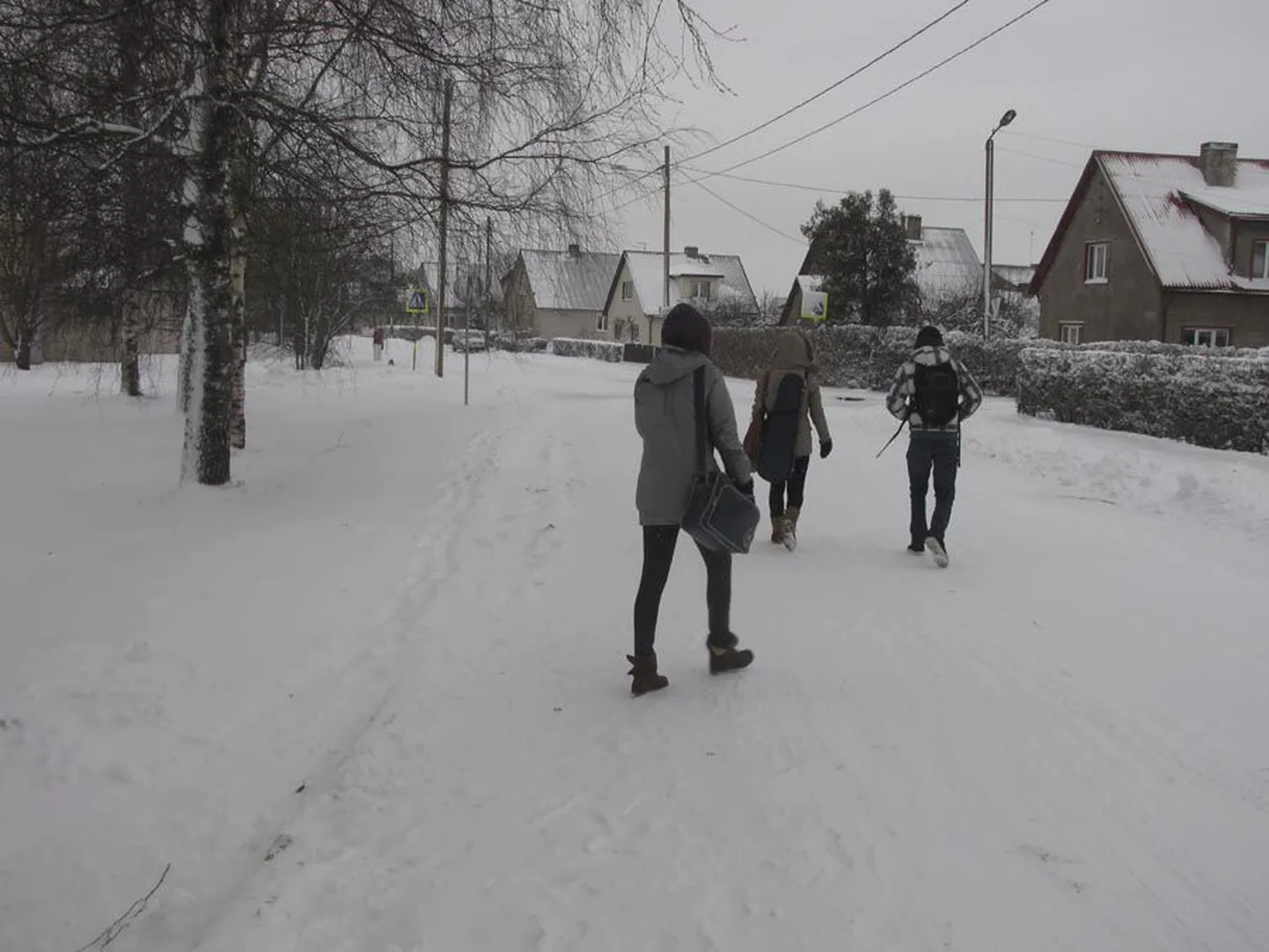 Et Viljandi gümnaasiumil esialgu oma maja pole, peab osa õpilasi tihedasti Kaare ja Paalalinna kooli vahet käima. Käijaid jagub igale vahetunnile.