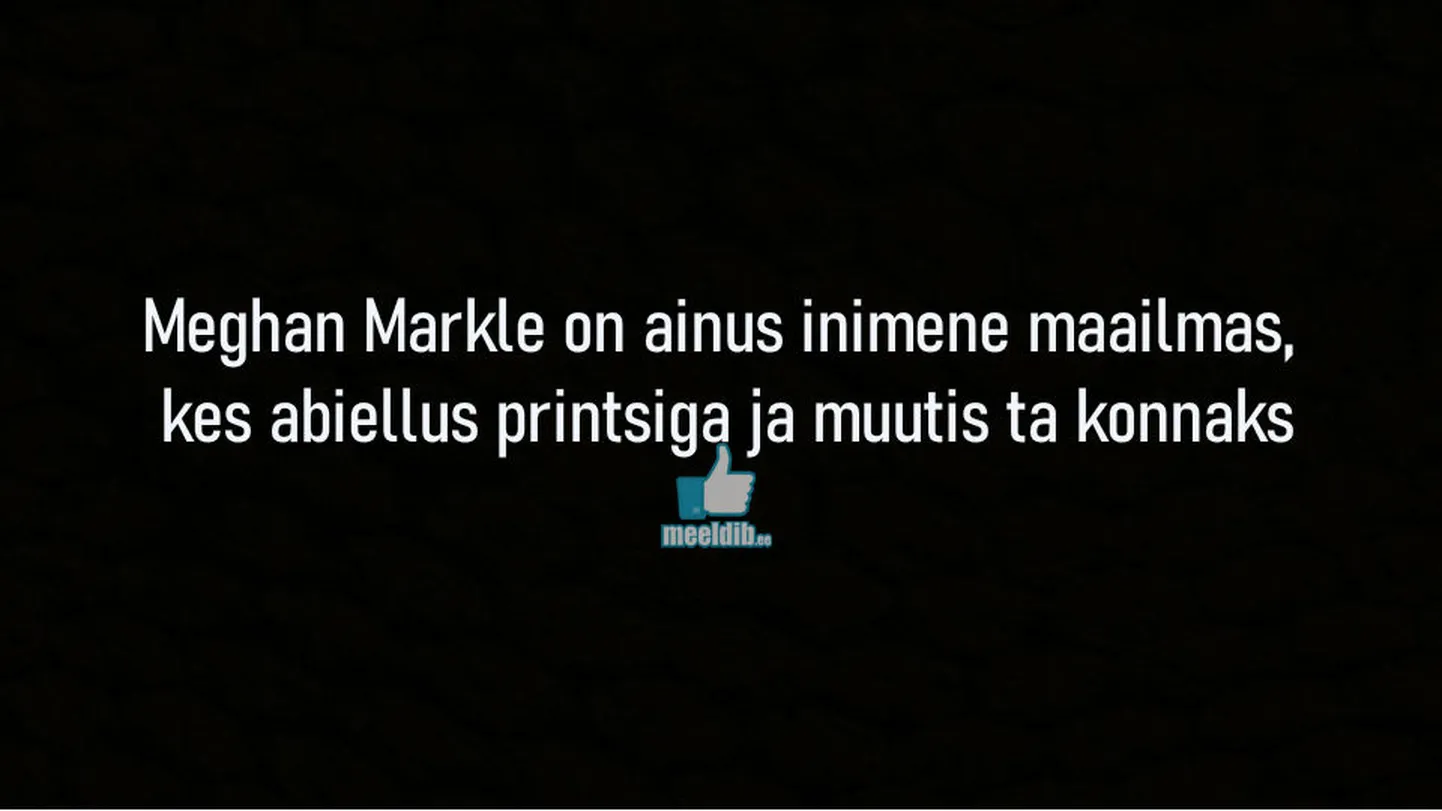 Artikli foto