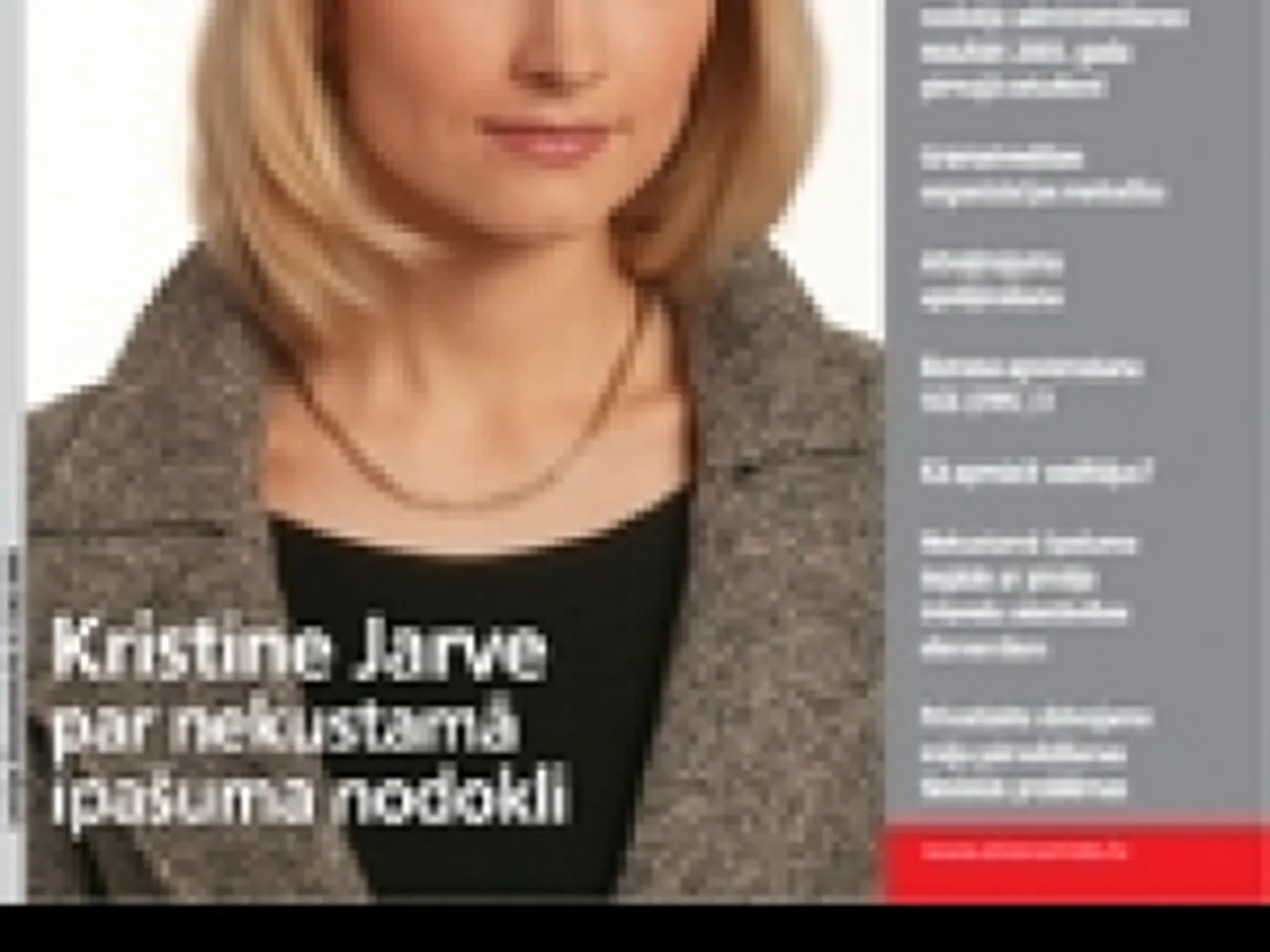 Raksta foto