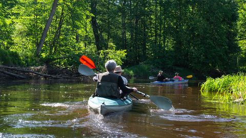 Nedēļas izskaņā gaisa temperatūra nedaudz pakāpsies