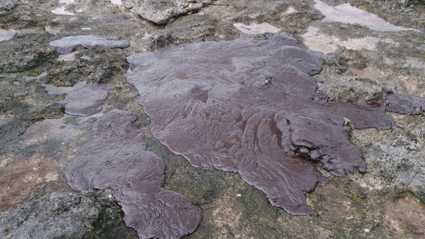 Naftareostus.