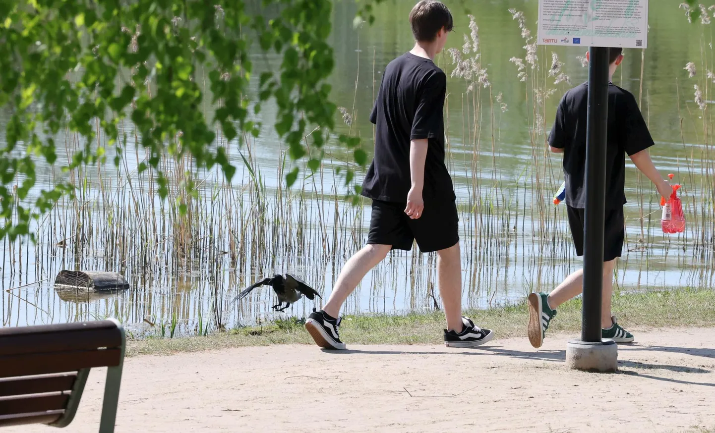 Anne kanali vee kvaliteet kipub igal suplushooajal kõikuma.