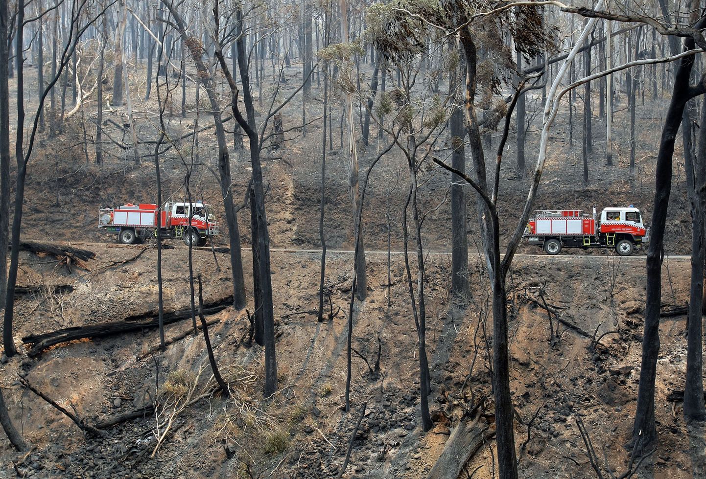 Tuletõrjeautod Austraalias Uus-Lõuna Walesi osariigis.