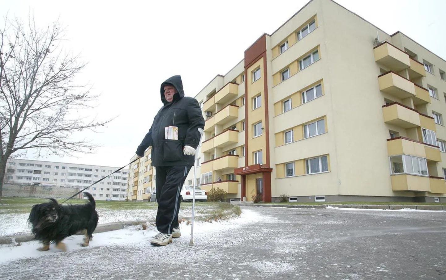 Pärnus Papiniidu 31 on 130 korterit, elanikud maksavad pärast soojustamist laenumakset 4.50 krooni ruutmeetri eest kuus ja hoiavad küttekuludelt iga kuu kokku 6.50 krooni ruutmeetrilt.