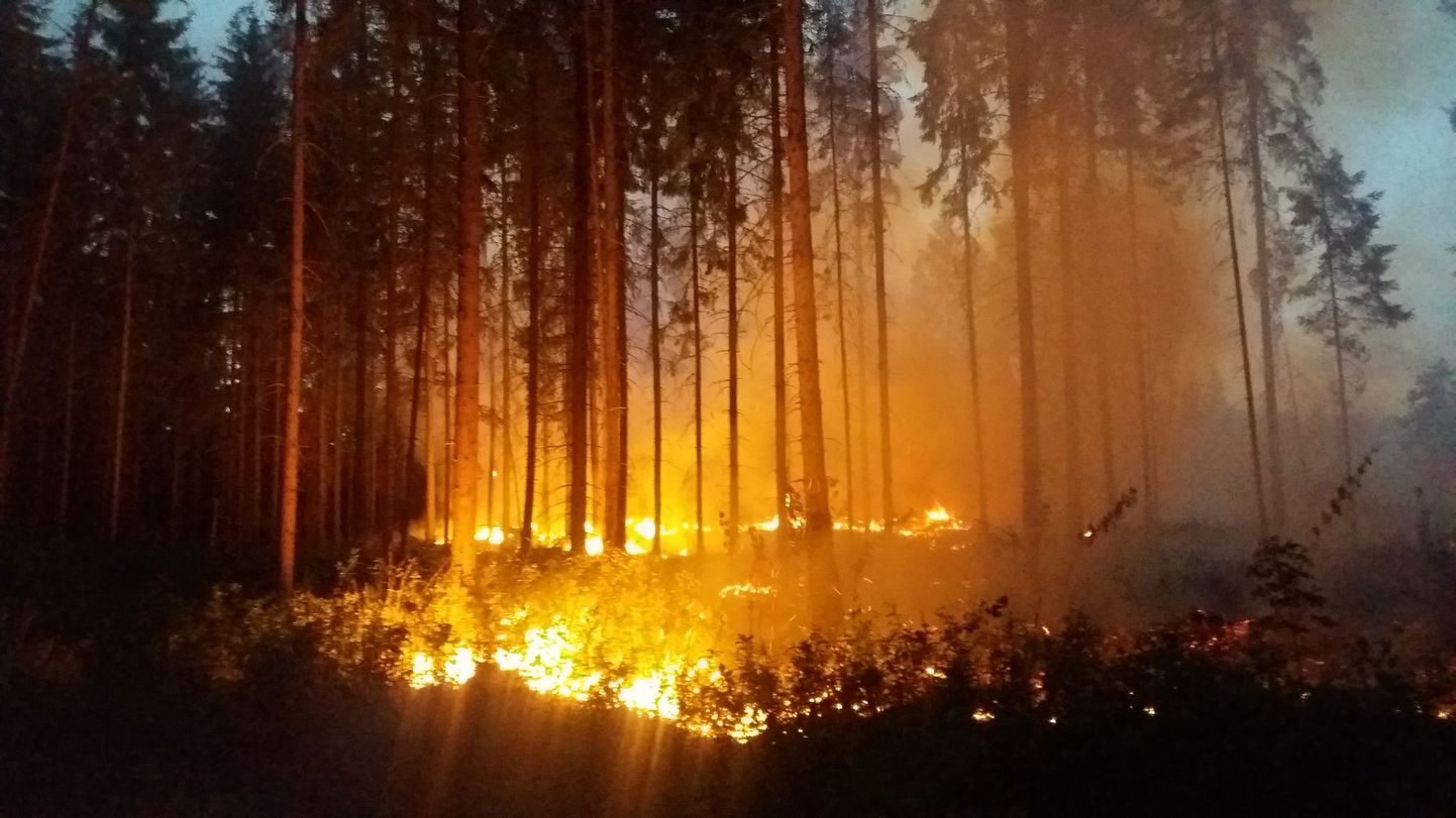 Pildil tulekahju Valgamaal Hummuli vallas Aitsra külas, mille kustutamine vältas neli päeva.