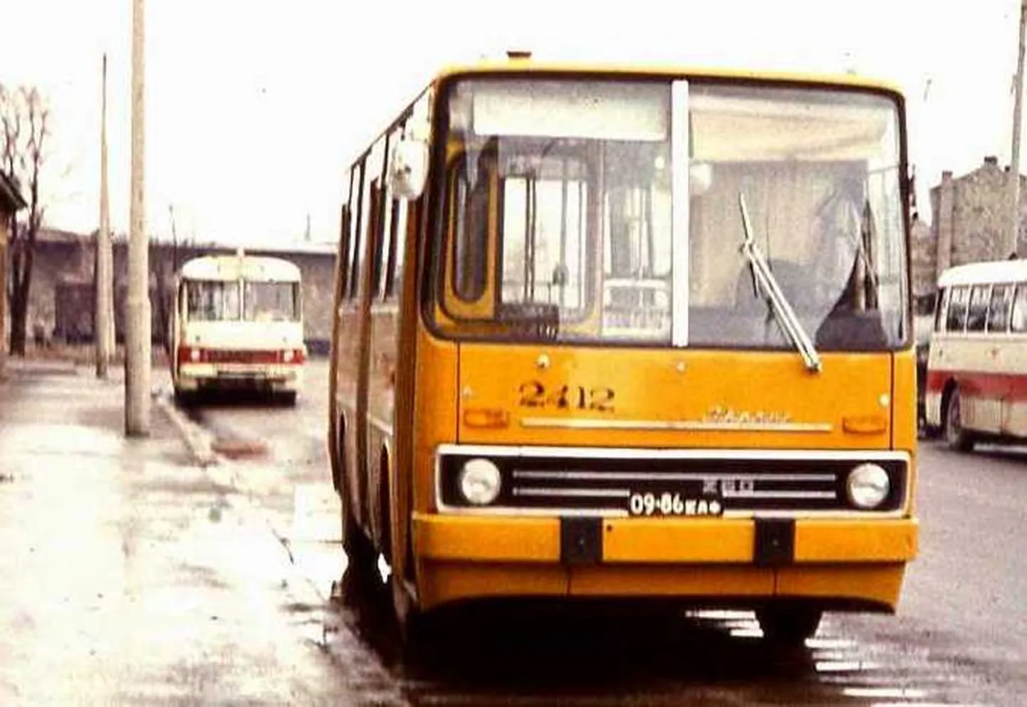 Viljandi idufirma kavatseb ehitada pakirobotid, mis hakkaksid isesõitva bussiga käima Lätist maainimestele odavat alkoholi toomas. Foto on illustreeriv.