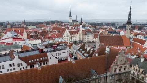 Жители делятся идеями: какое свидание организовать в Таллинне, когда в кармане всего десять евро