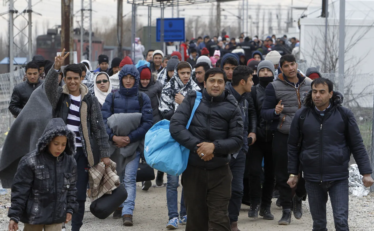 Migrandid