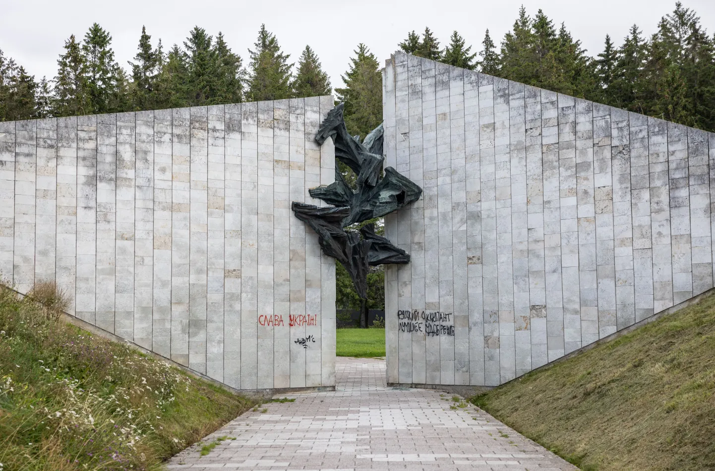 Tallinna kesklinna valitsus laseb Maarjamäe memoriaali juures maha raiuda kuivanud kuused.