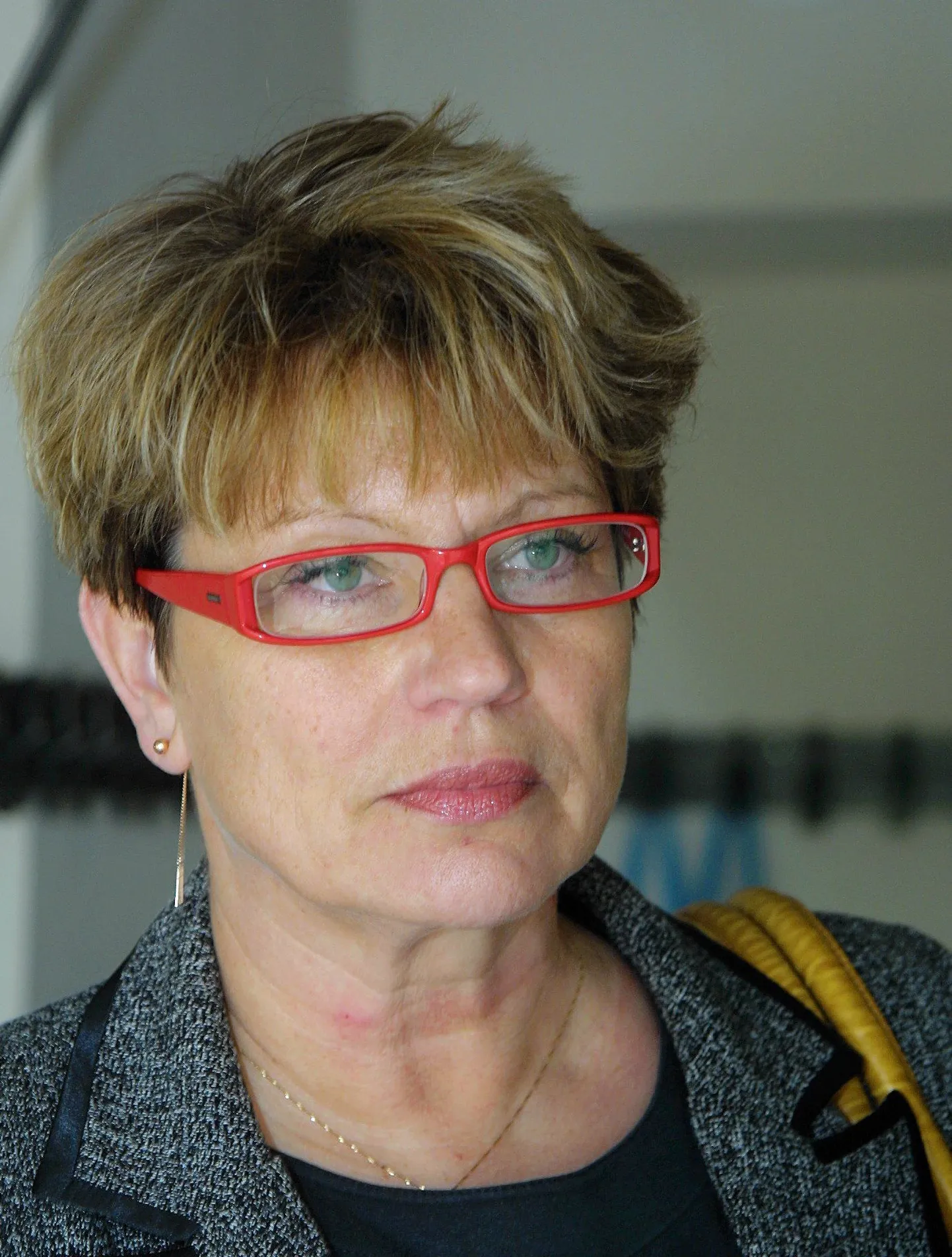 dr Riina Raudsik