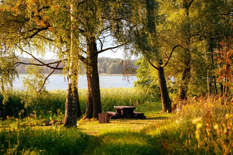 Raksta foto