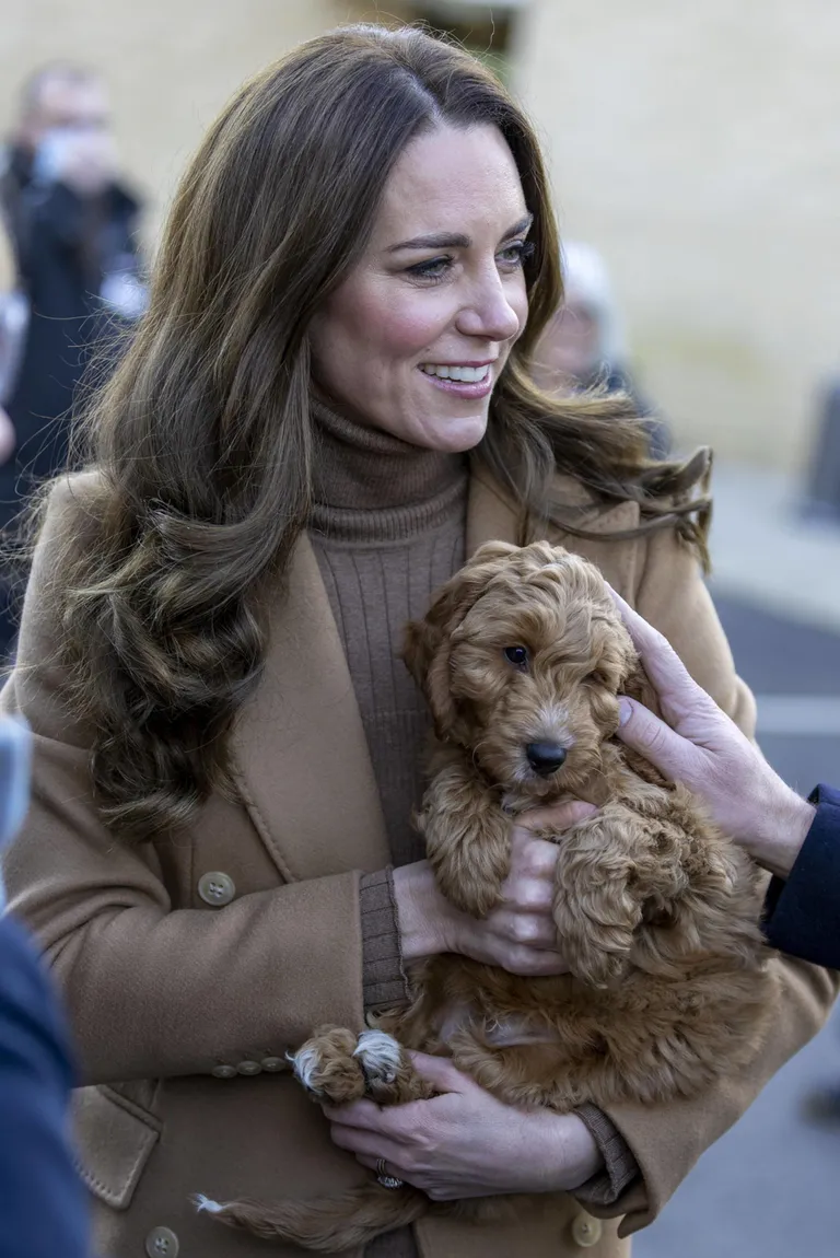 Kate, Cambridge'i herstoginna