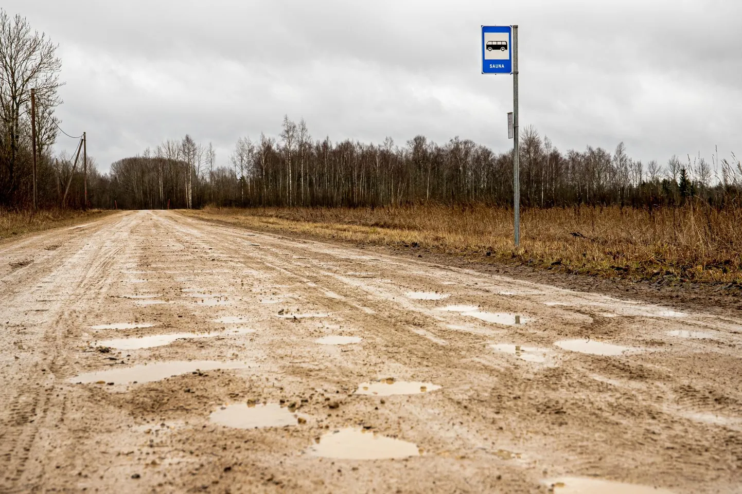 Transpordiametil on kavas remontida 40 kilomeetrit Pärnumaa kruusateid.