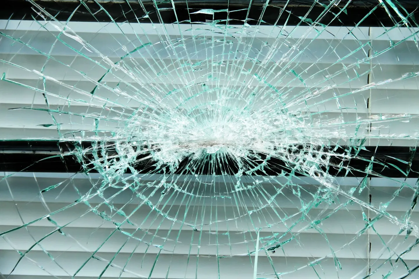 Artikli foto