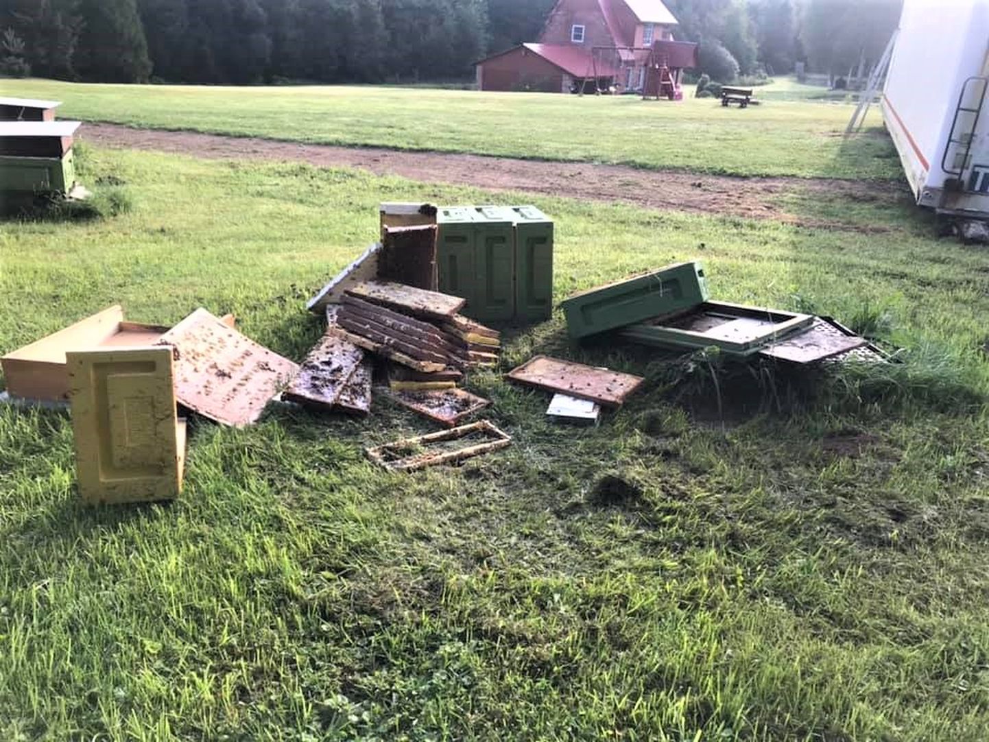 Kalatiigi talus hävitas karu mesitaru ja grilli.